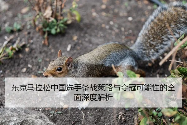 东京马拉松中国选手备战策略与夺冠可能性的全面深度解析 - LD